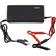 BROODAY 14.6V 10A LiFePO4 Battery Charger for 12V Lithium Iron Phosphate Batteries – Fast Charging, High Efficiency, LED Indi