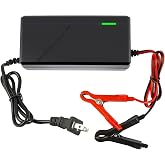 BROODAY 14.6V 10A LiFePO4 Battery Charger for 12V Lithium Iron Phosphate Batteries – Fast Charging, High Efficiency, LED Indi