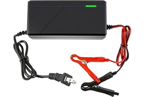 BROODAY 14.6V 10A LiFePO4 Battery Charger for 12V Lithium Iron Phosphate Batteries – Fast Charging, High Efficiency, LED Indicator, Durable Design with Overheat Protection