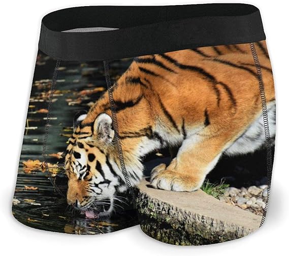 Amazon Co Jp メンズ 下着 タイガー飲料水 ボクサーブリーフ パンティー ショートパンツ ボクサーパンツ 通気 速乾 Clothing Accessories