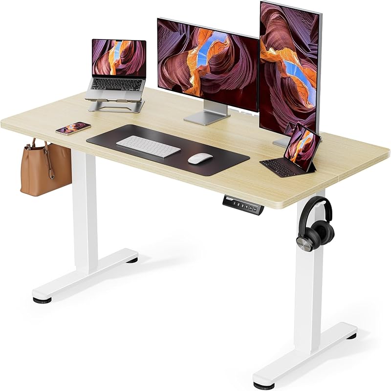 ErGear Electric Standing Desk 120x60cm, Height Adjustable with Memory Panel