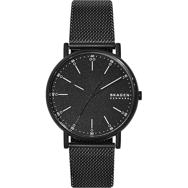 Amazon.com: Skagen Men's Holst Chronograph Gunmetal Gray Stainless