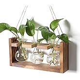 Plant Propagation Station Plant Terrarium Unique Birthday Gifts for Women Home Office Decor Planter with Wooden Stand - 3 Bulb Glass Vase
