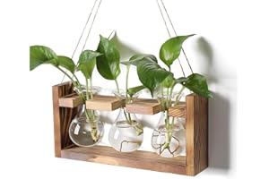 YYHGLASS Plant Propagation Station Plant Terrarium Unique Birthday Gifts for Women Home Office Decor Planter with Wooden Stand - 3 Bulb Glass Vase