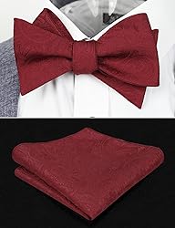Alizeal Men's Paisley Jacquard Tuxedo Self Bow Tie