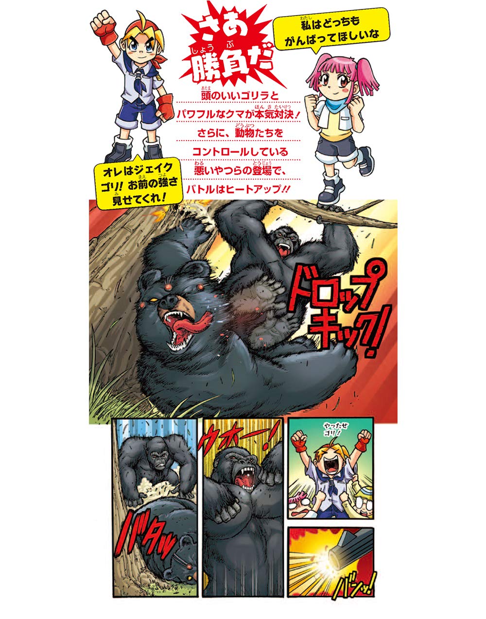 どっちが強い ゴリラvsクマ 頭脳とパワーの大勝負 角川まんが学習シリーズ Amazon Co Uk Books