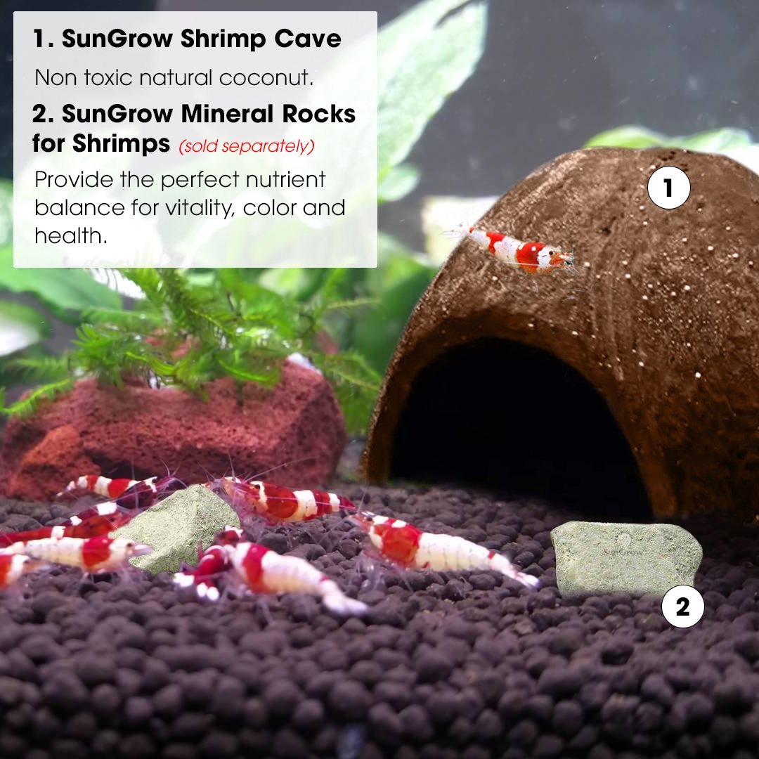 SunGrow Organic Coco Shrimp Cave : Comfortable Hideout for Shrimp : Perfect Breeding Area : Naturally Attractive & Non Toxic : Unique Aquarium Decoration