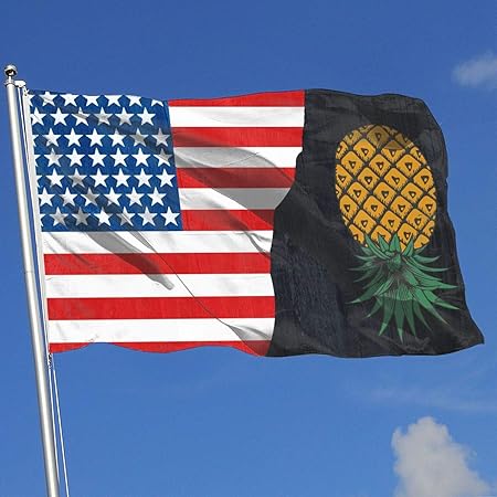 Amazon Com Fq 8flag Upside Down Pineapple Country Banner Flag