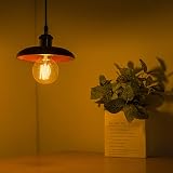 EYLM Vintage Edison Light Bulbs 4 Pack 40W E27 220V Dimmable G80 Retro Filament view 5
