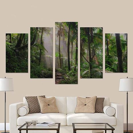 Amazon Com Soefipok Beautiful Jungle Path Through The El Yunque