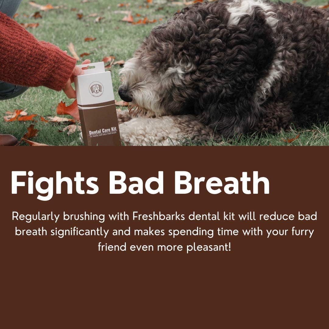 Freshbarks Dog Dental Kit | Two Tubes of The Best Enzymatic Dog Toothpaste and One Specially Designed Double Headed Dog Toothbrush | Clean Away Tartar and Plaque and Prevent Dental Infections: Health & Personal Care