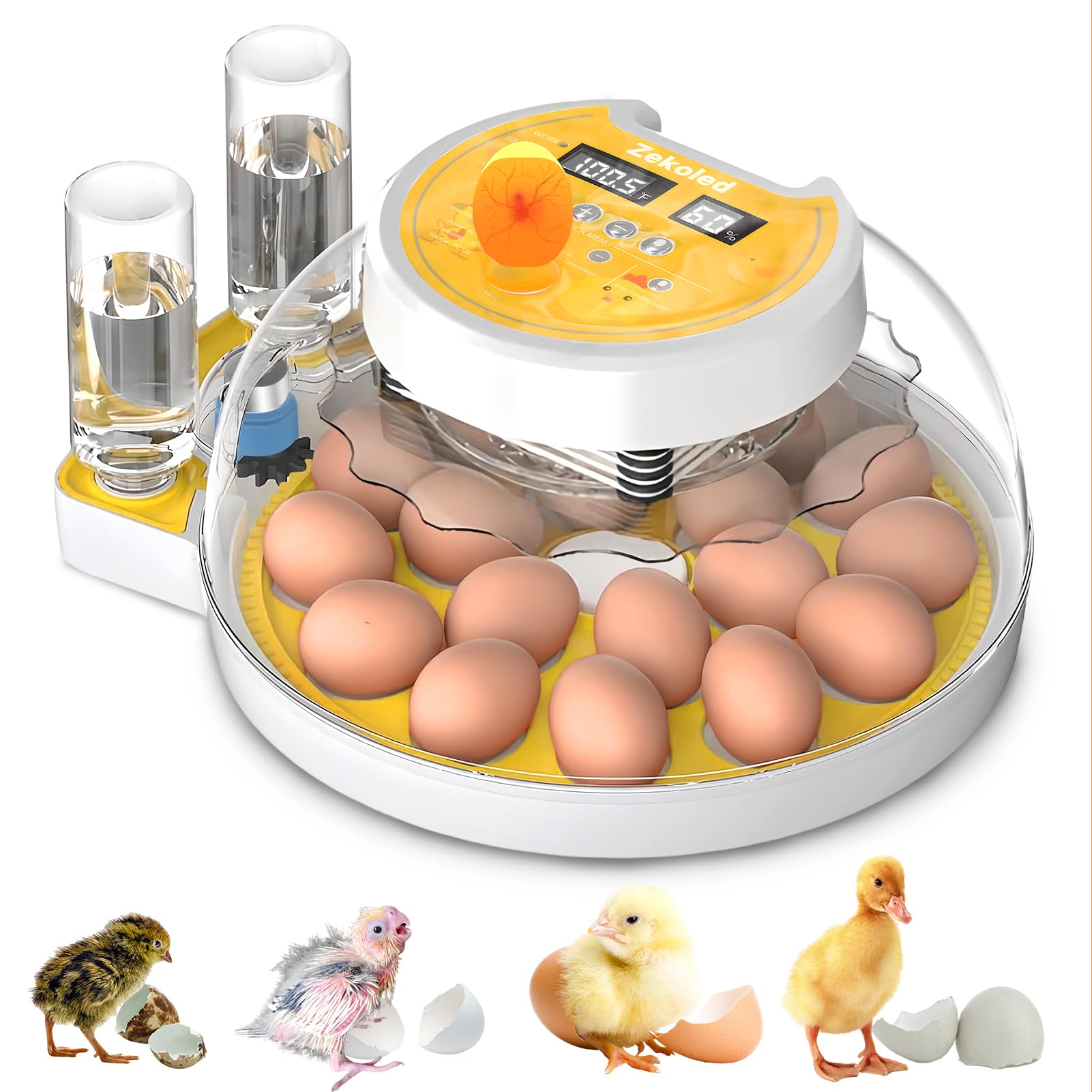 Photo 1 of Zekoled Incubators for Hatching Eggs, Incubator with Automatic Egg Turning and Humidity Control, 18-60 Egg Poultry Incubator with Automatic Water Adding, 360° View Brooder Plate