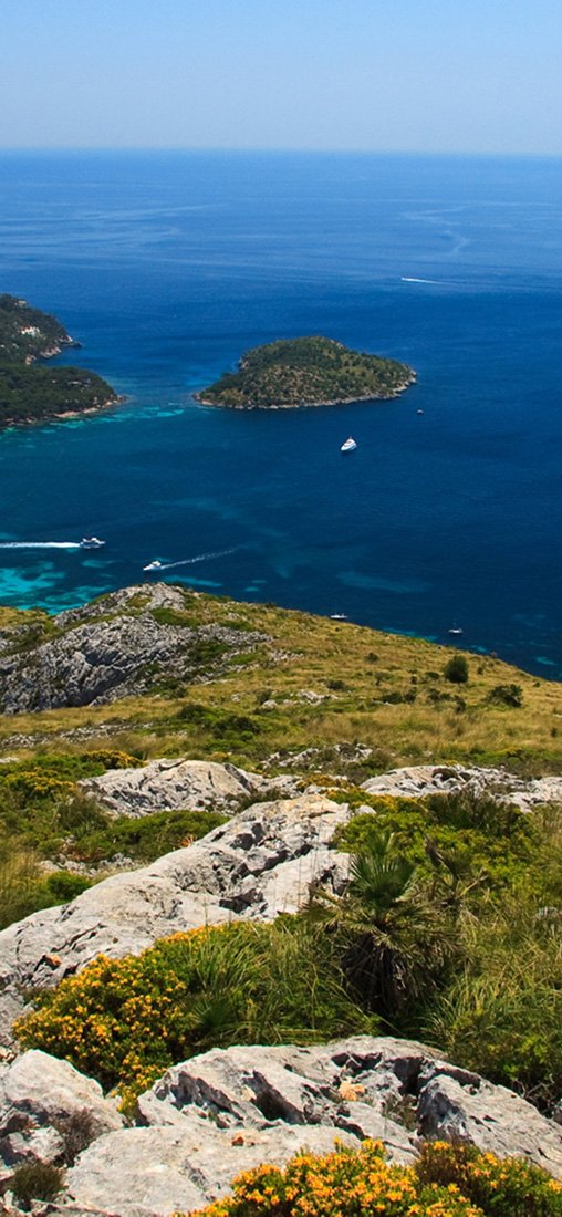 PeelitStickit, Beautiful Nature Wall Murals, ID-1329, vinyl