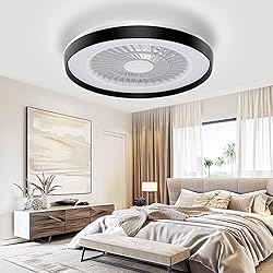 Modern Ceiling Fans with Lights - 19 inch Low