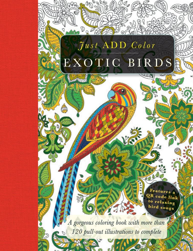 Amazon Com Exotic Birds Gorgeous Coloring Books With More Than 120 Pull Out Illustrations To Complete Just Add Color 9781438009445 Lawson Beverly Books