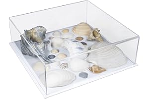 BETTER DISPLAY CASES Acrylic Display Case – Versatile Clear Acrylic Boxes for Display with White Base – Display Case for Collectibles, Action Figures, Models – 12" x 12" x 4" – Dustproof (A030B-WDS)