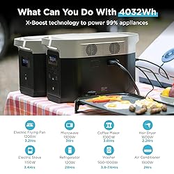 EF ECOFLOW Portable Power Station DELTA Max 2000
