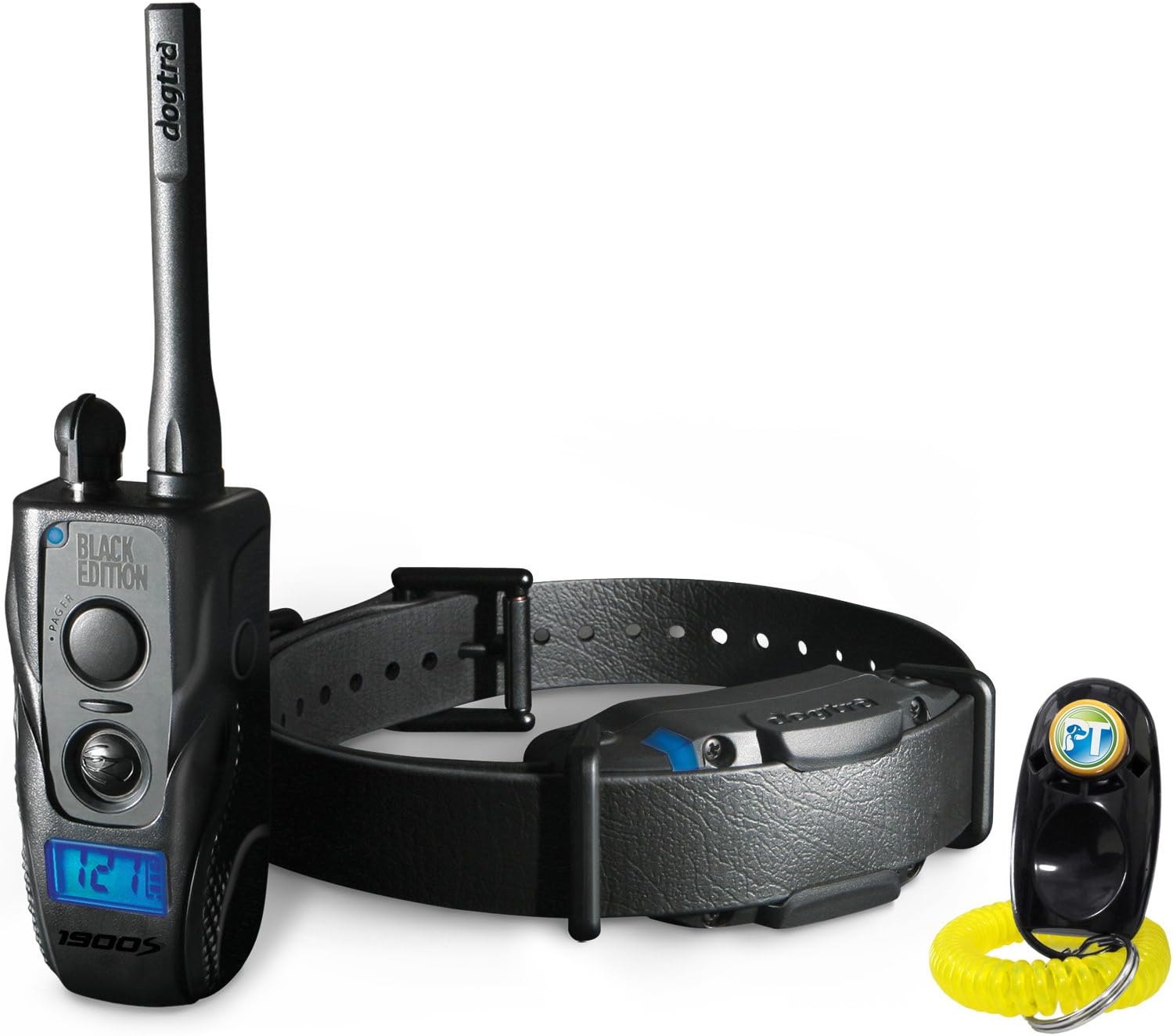 papillon shih tzu mix puppy