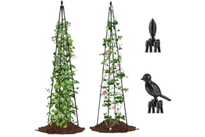 AlisisFores 2 Pack Garden Trellis for Climbing Plants Outdoor,63inch Tall Rustproof Metal Obelisk Trellis Support for Potted Vines Vegetable Plants Indoor Outdoor, Lightweight