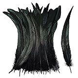 iHUFeather Natural Rooster Tail Feathers 50pcs