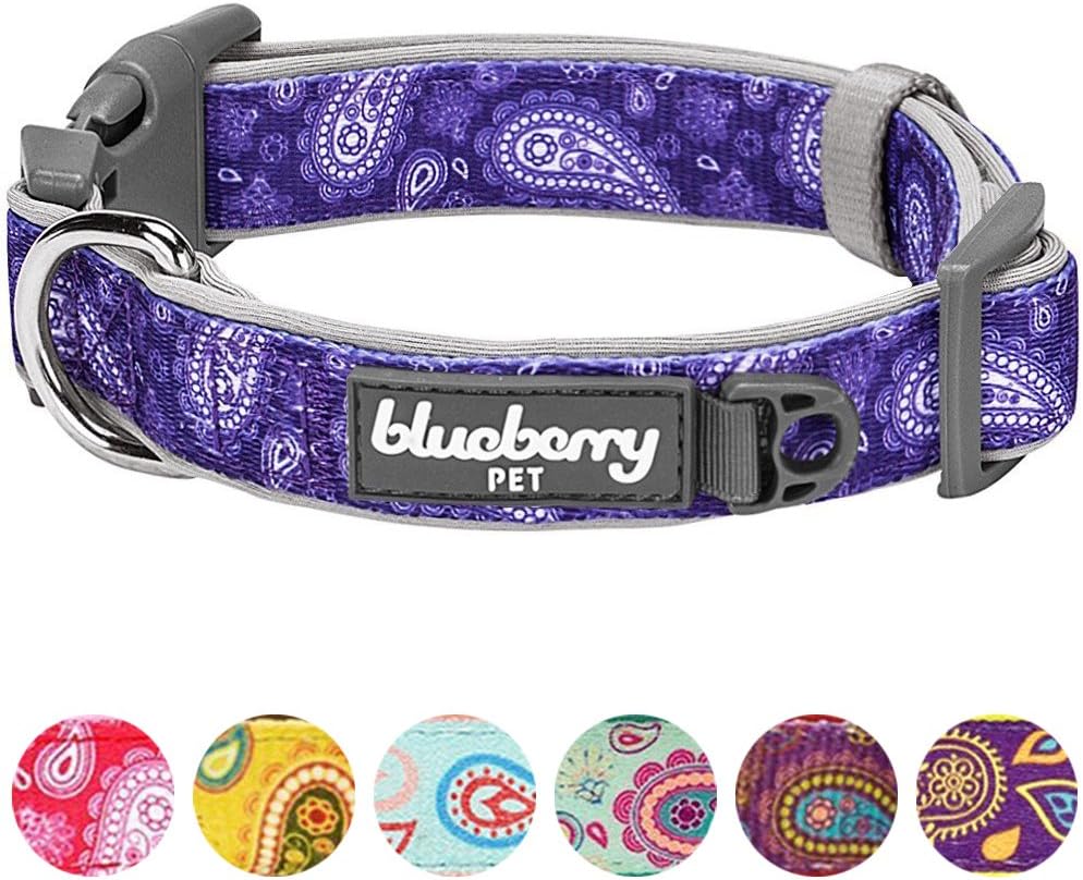 Blueberry Pet 5 Patterns Soft & Comfy Paisley Flower Print Neoprene Padded Adjustable Dog Collar, Violet, Large, Neck 18"-26" : Pet Supplies