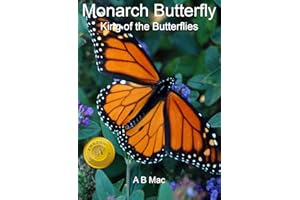 Monarch Butterfly King of the Butterflies (Amazing Facts About Insects Book 1)