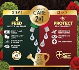 Westland Buxus Feed & Protect 2 in 1 Concentrates 2 x 500 ml Green view 6