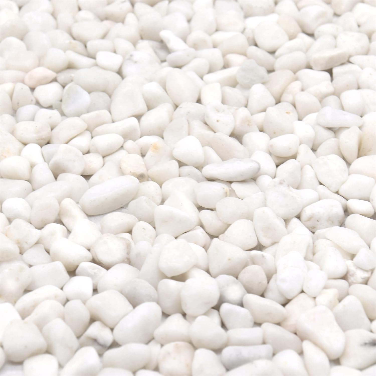 Hardscaping Materials - Premium Pebbles White Rocks for Plants. White Decorative Polished Pebbles. 3/8 Inch – 10lbs for Plants,Garden, Landscaping, Succulents, pots, Plants (XSM (0.375 Inch), White - Lightly Polished, 10)