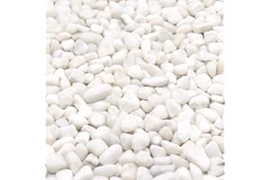 Premium Pebbles White Rocks for Plants & Garden. Decorative Polished Pebbles. 3/8 Inch 2lbs for Succulents, Vases & Pots (XSM (0.375 Inch), White - Lightly Polished, 2)