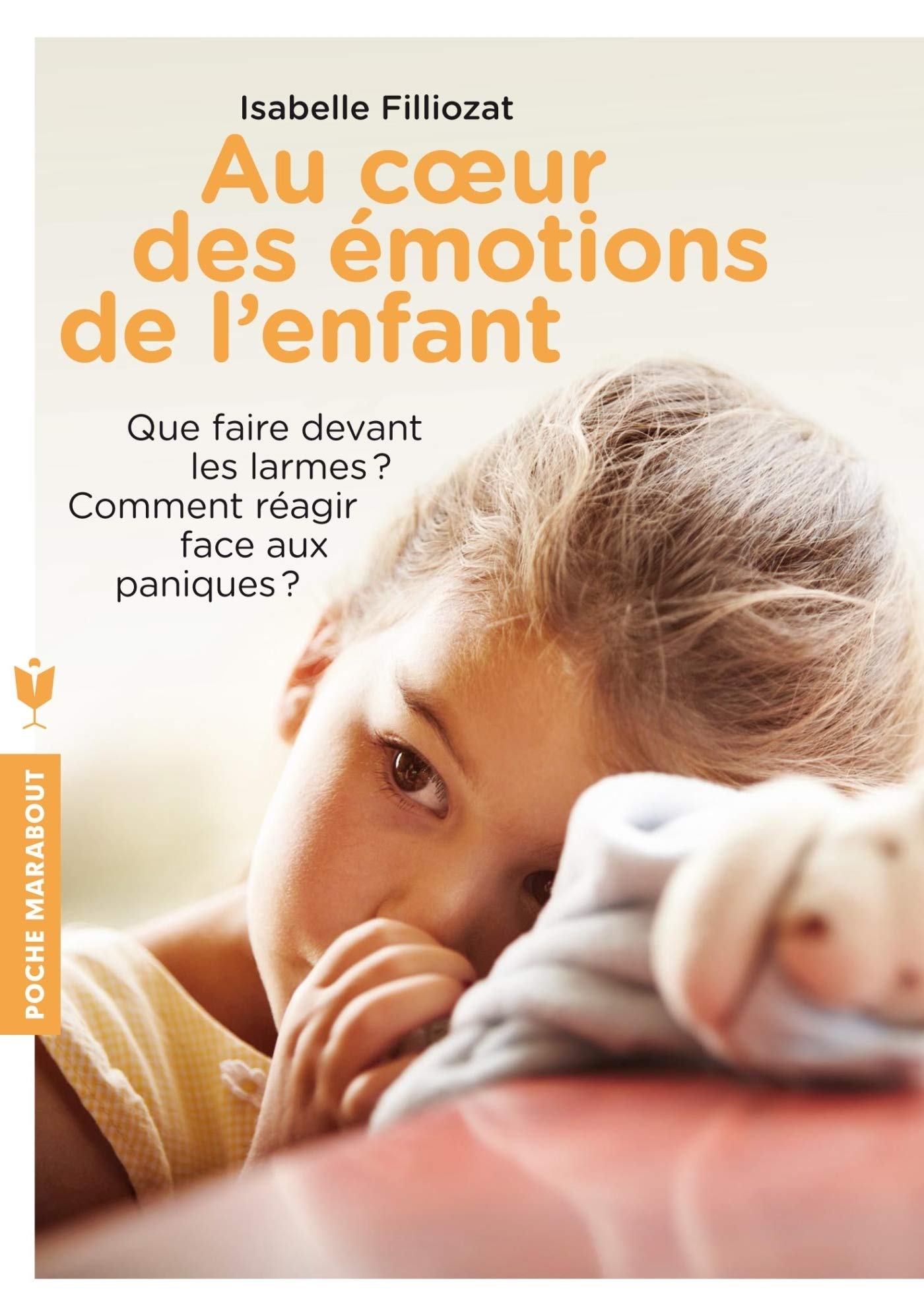 Amazon Fr Au Coeur Des Emotions De L Enfant Filliozat Isabelle Livres