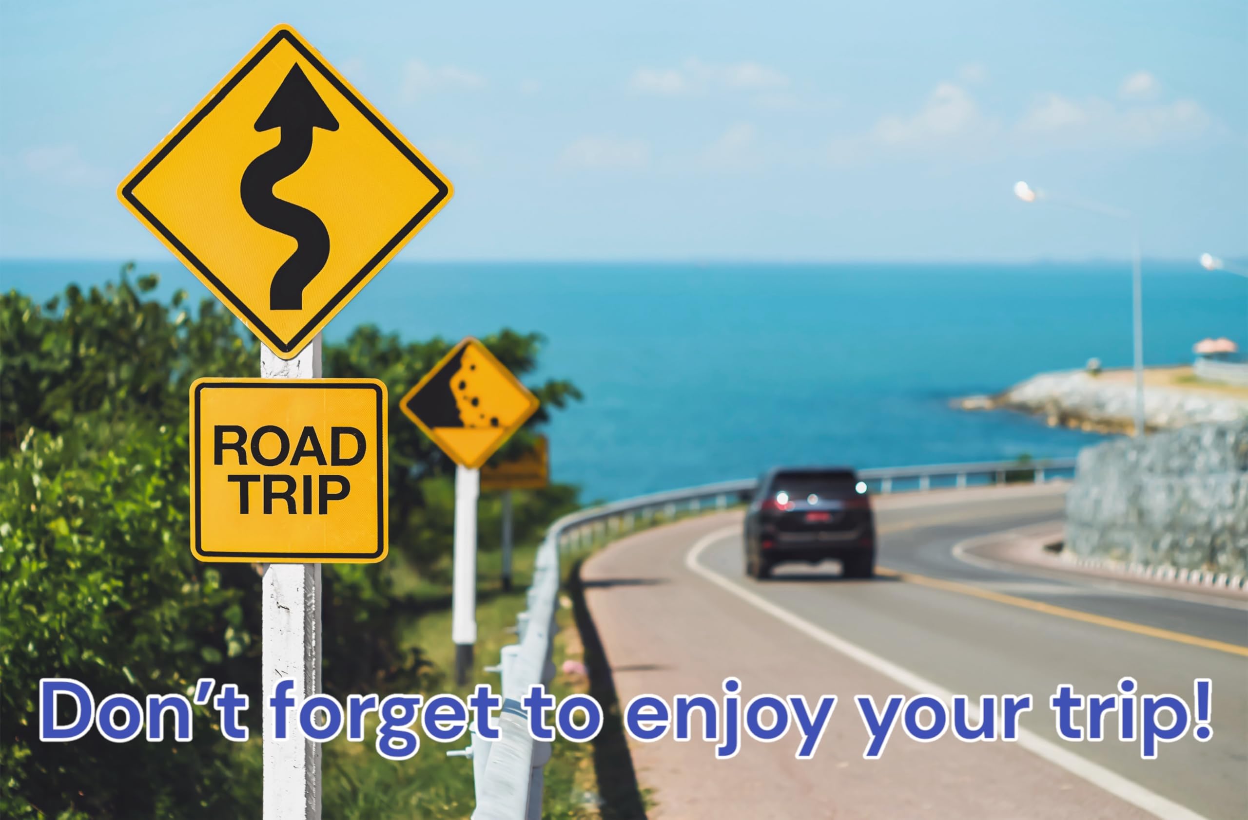 Sunpass Pro Sun Pass Transponder Toll Program - Florida and 21 Other States!