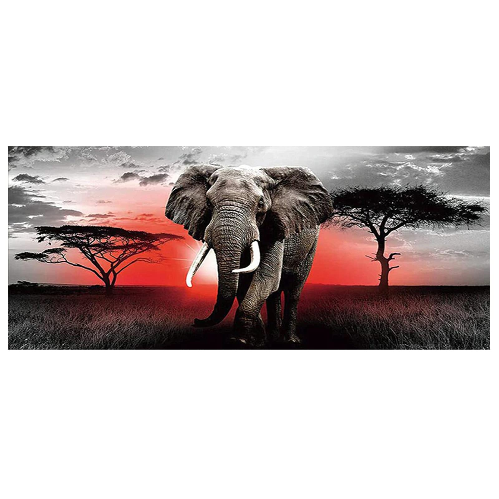 DCIDBEI 110 x 50 cm 5D Round Diamond Painting Large Format Landscape Africa Painting by Numbers Animal Anime, Cross Stitch Diamond Arts Craft Home Entrance Wall Decoration, African Elephant