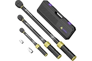 ANPUDS 1/4 3/8 1/2-inch Drive Torque Wrench, 5 Pcs Click Torque Wrench Set, 20-240in.lb, 10-110Ft.lb, 30-250Ft.lb with 2 Adapters, Dual-Direction, 72-Tooth, Dual Range Scales for Bike, Motorcycle, Car