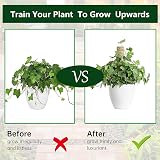 MABUSIYI Moss Pole 2-Pack 40CM Coir Moss Pole for Monstera Pothos Indoor view 7