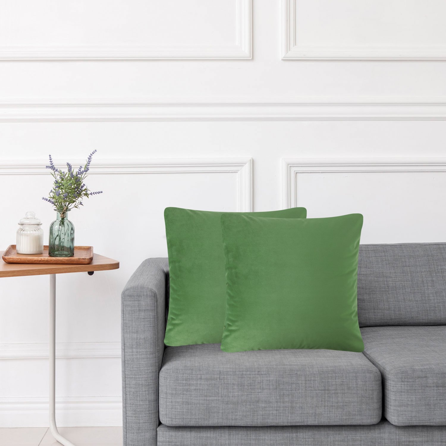 Pack of 2 Cozy Decorative Cushion Covers Soft Velvet for Home Office