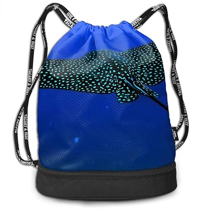 Amazon.com: Mr.Roadman Multifunctional Bundle Backpack ...