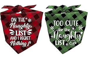 JOYRIZA Christmas Dog Bandana Funny, 2PACK Xmas Red and Green Plaid Triangle Bibs for Dogs, Gifts for Dog Mom Owner, Winter Holiday Scarf Outfit for Medium Large Dogs