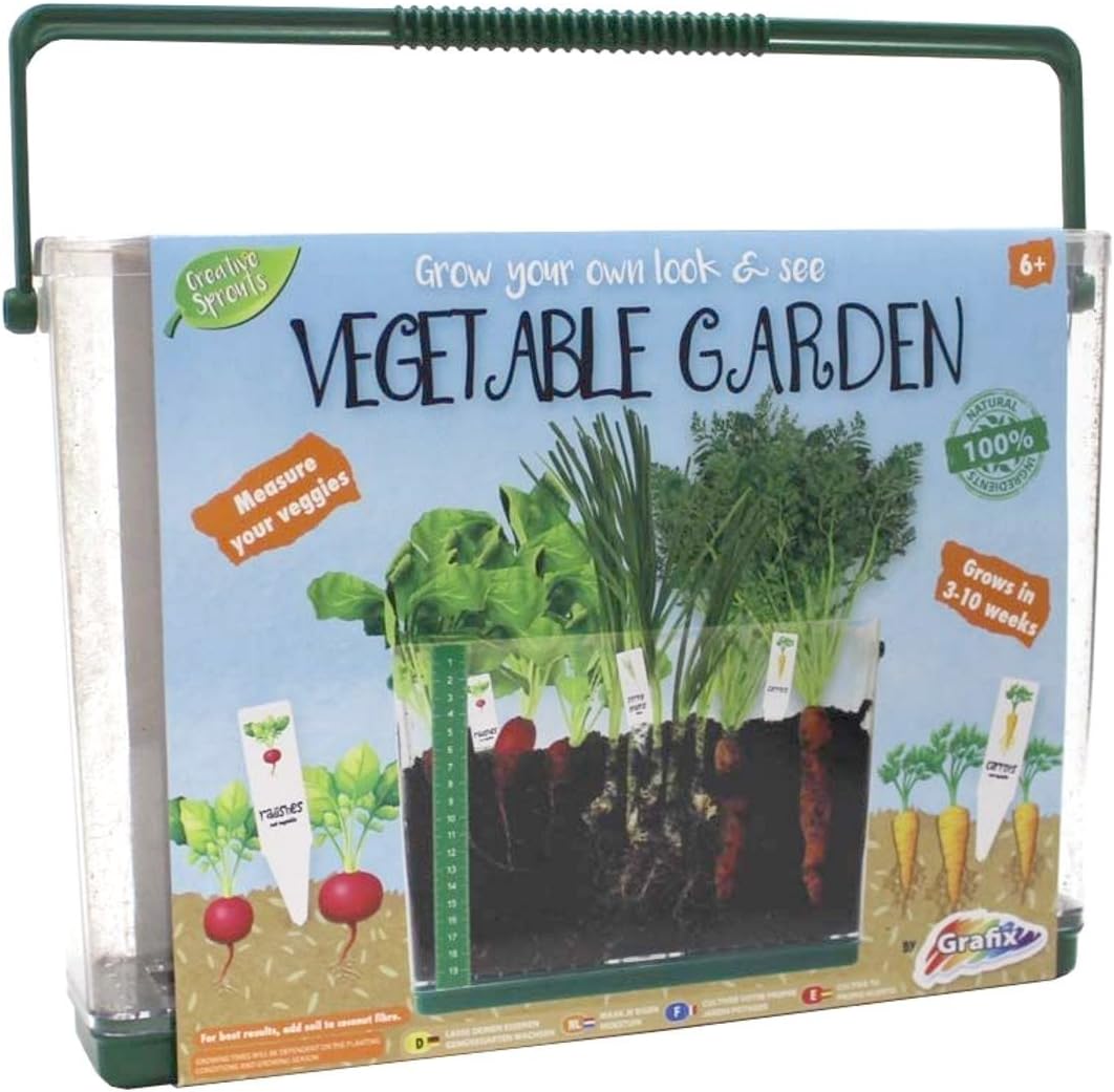Childrens Grow Your Own Vegatable Garden in Transparent Case