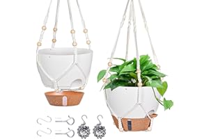 Fielda 10 Inch Hanging Planters for Indoor Plants & Outdoor - 2 Pack Self-Watering Hanging Pots with Drainage Holes, Visual Reservoir, 2 Hangers - Self-Watering Hanging Baskets Flower Pots