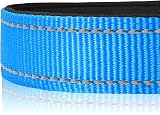Joytale Reflective Dog Collar Neoprene Padded Nylon Small Skyblue S view 4