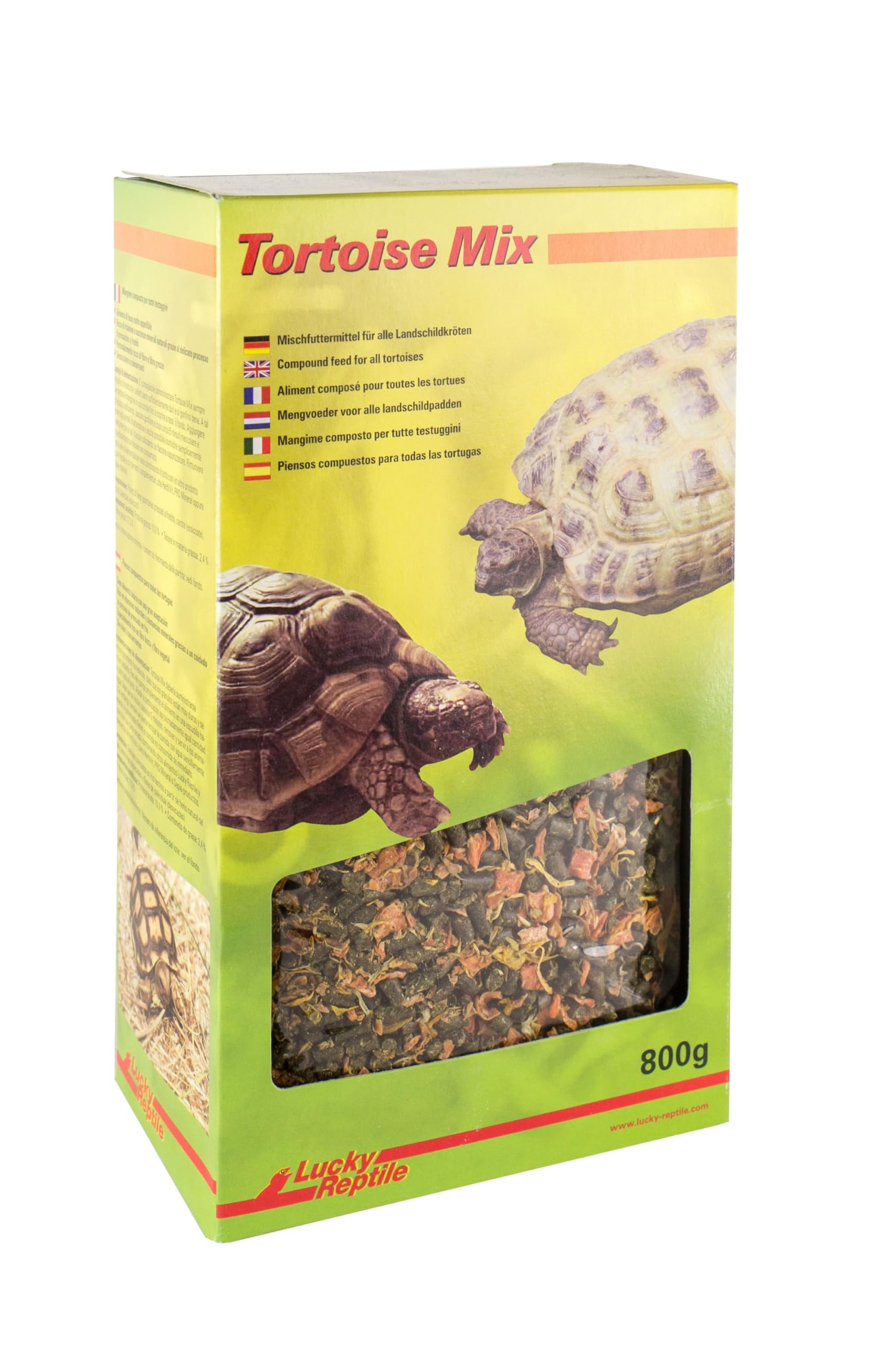 Lucky Reptile Tortoise Mix