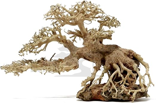 Amazon Com Bonsai Driftwood Aquarium Tree Bsc 8 Inch Height 12 Inch Length Natural Handcrafted Fish Tank Decoration Helps Balance Water Ph Levels Stabilizes Environments Easy To Install Pet Supplies