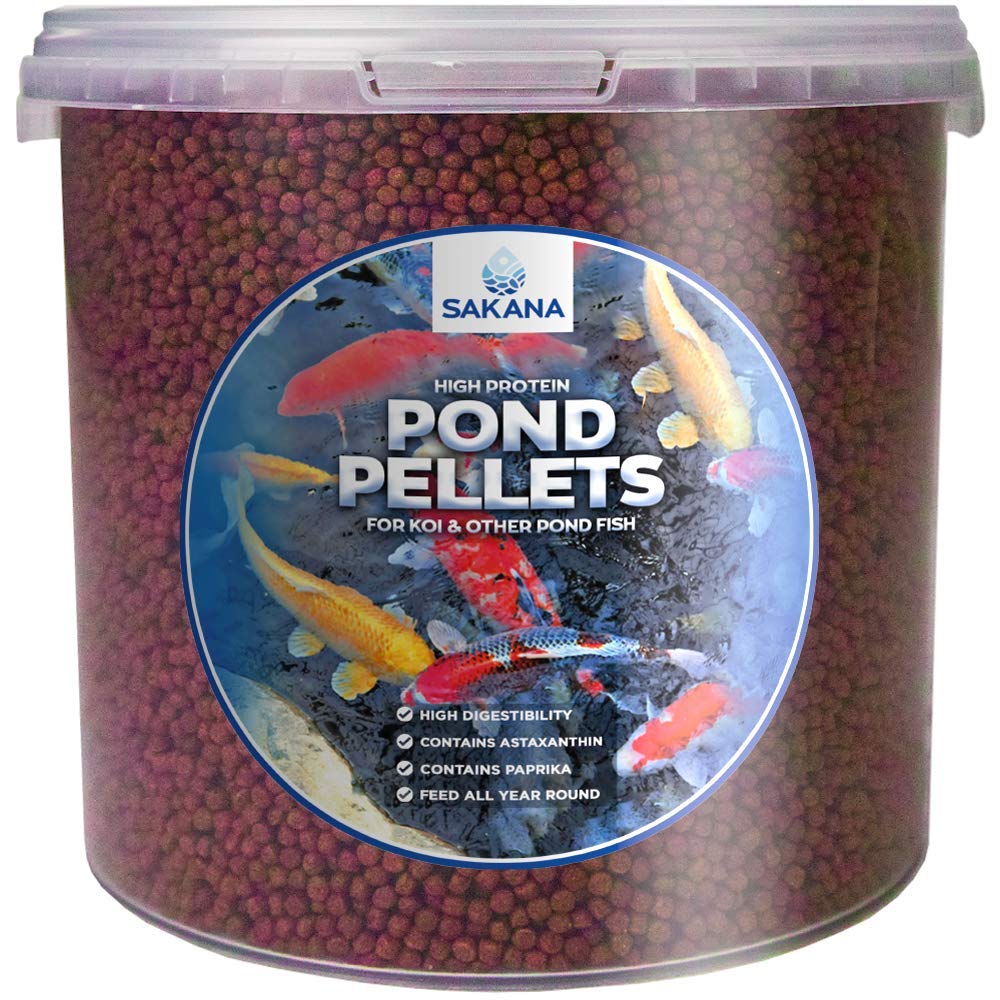 high protein fish food for ponds