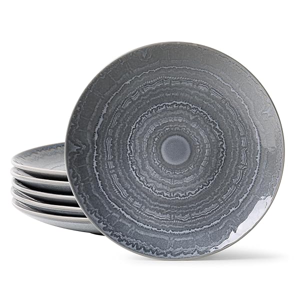 MONITO CERAMIC DINNER PLATES SET OF 6,10.5 INCH...