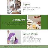 Handcraft Blends Bergamot Essential Oil 30 ml Pure & Natural Premium Grade view 3