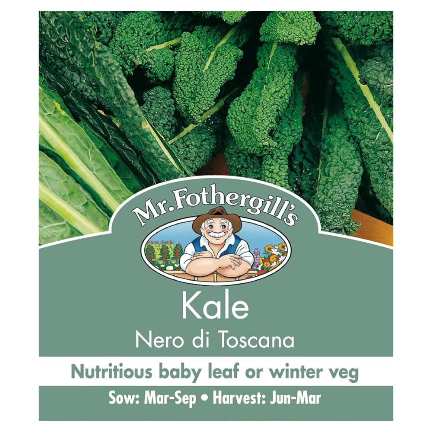 Mr Fothergill's Kale Nero Di Toscana
