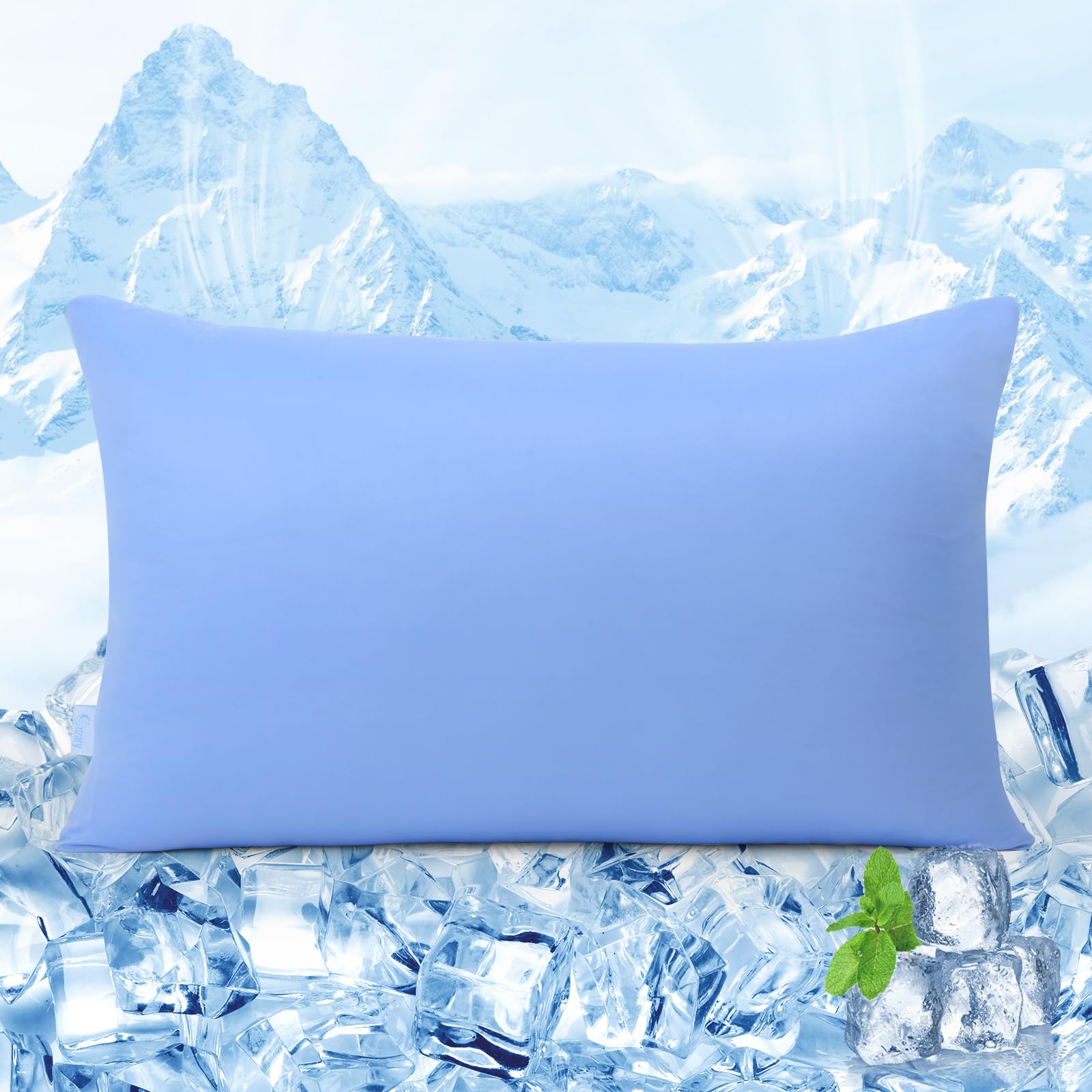 Photo 1 of 1 Pcs Queen Size Cooling Pillowcase with Zipper, Soft Silky Pillow Case for Hair and Skin, Anti-Static &Breathable,Blue Cold Cooling Pillow Cases Cover Protector for Hot Sleepers, Queen 20x30