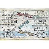Xanovir Dragonfly Tin Sign Metal Poster Vintage, What a Wonderful World, Wall Art Decor Gifts for Home Bar Kitchen Restaurant Bedroom Garden Plaque 8x12 Inch