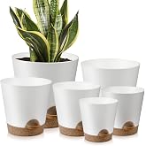 YNNICO 8,7, 6.5, 6, 5.5, 5 Inches Self Watering Planters for Indoor Plants | White,Drainage Holes and Saucers,Modern Lightweight Plastic Plant Pots for Indoor/Outdoor.