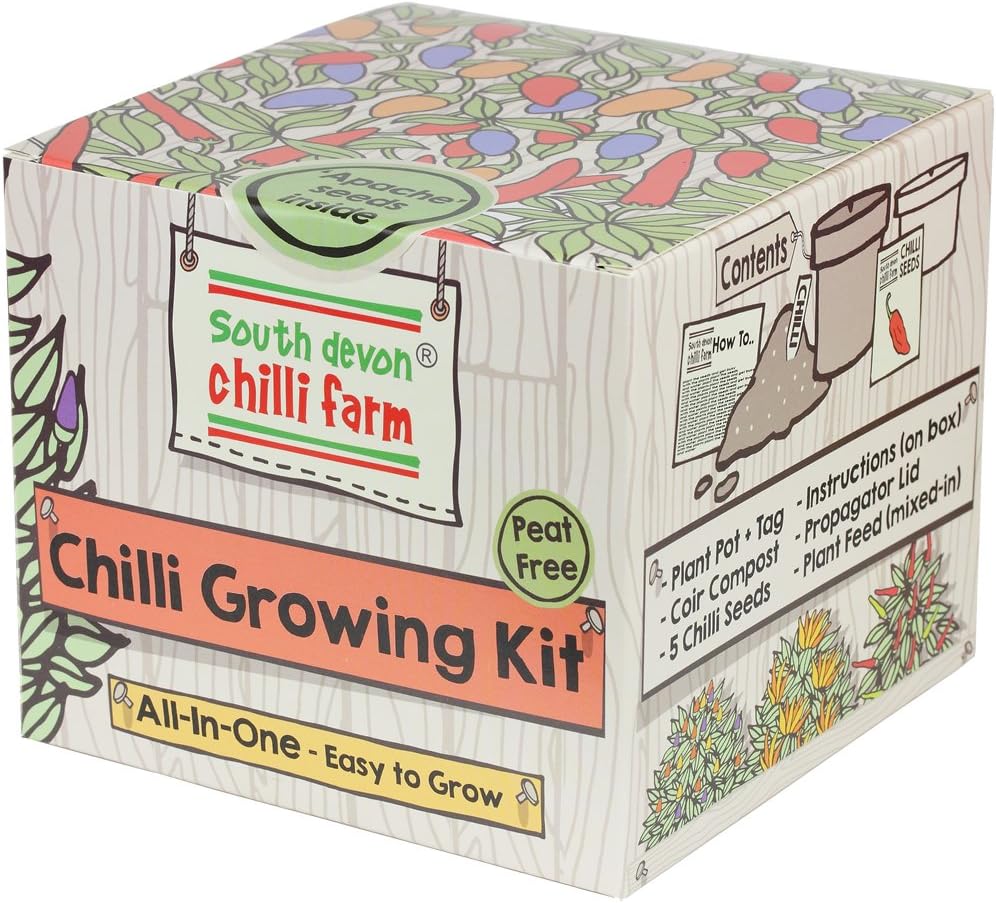 Chilli Growing Kit BigaMart